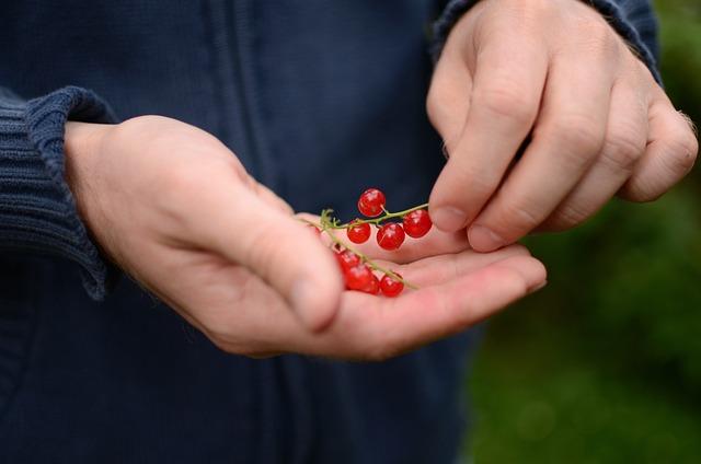 7. Důležité tipy pro výběr kvalitní mozzarelly pro zdravou večeři