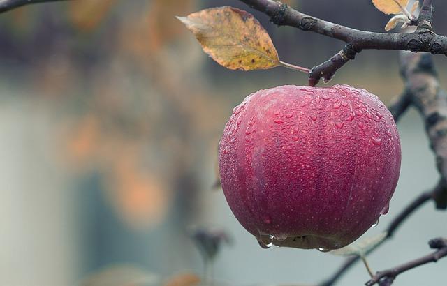 Čerstvé ingredience pro dokonalý start